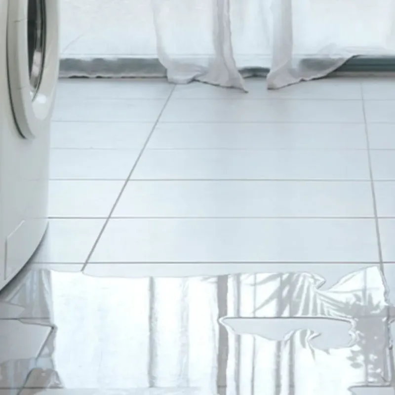 Appliance Leak Cleanup in Bray, OK