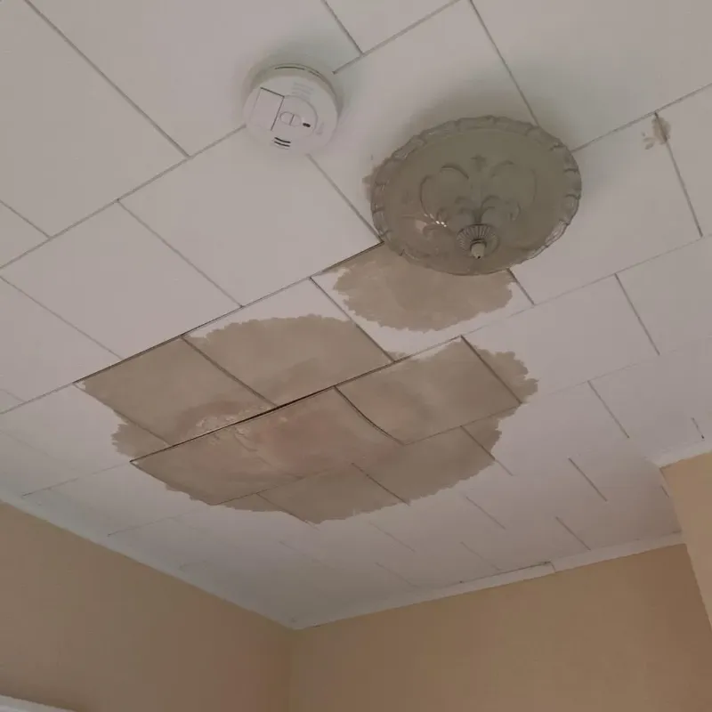 Ceiling Water Damage Repair in Bray, OK