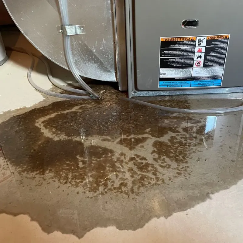 Pipe Burst and Leak Restoration in Bray, OK